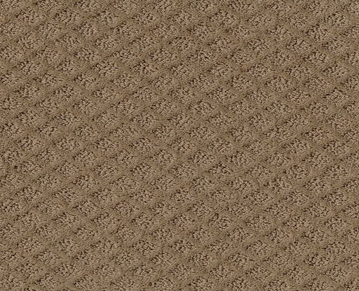 Final Thought Raw Wood 00720