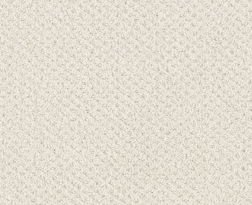 Main Squeeze Serene Still 00101