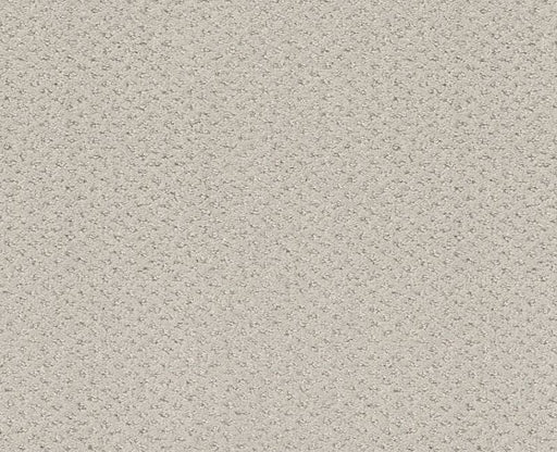 Main Squeeze Winters Dawn 00102