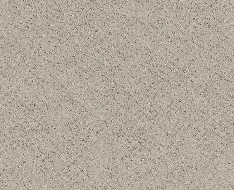 Main Squeeze Fossil Path 00108