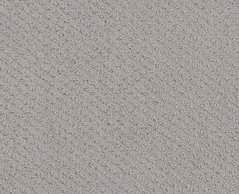 Main Squeeze Silver Lining 00500