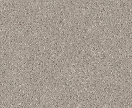 Main Squeeze Newstone Haven 00502