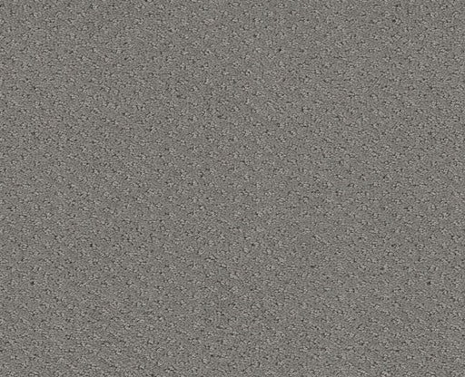 Main Squeeze Grey Fox 00504