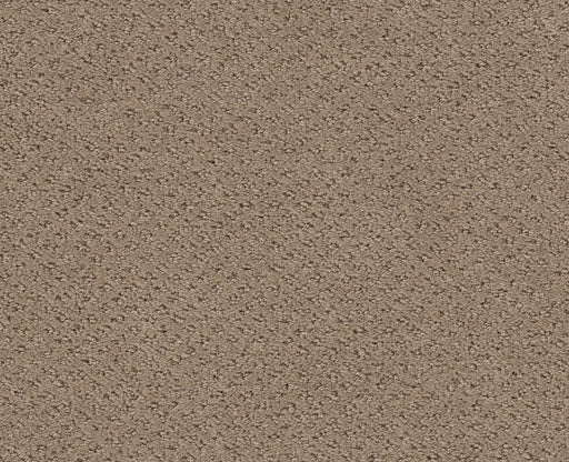 Main Squeeze Desert View 00701