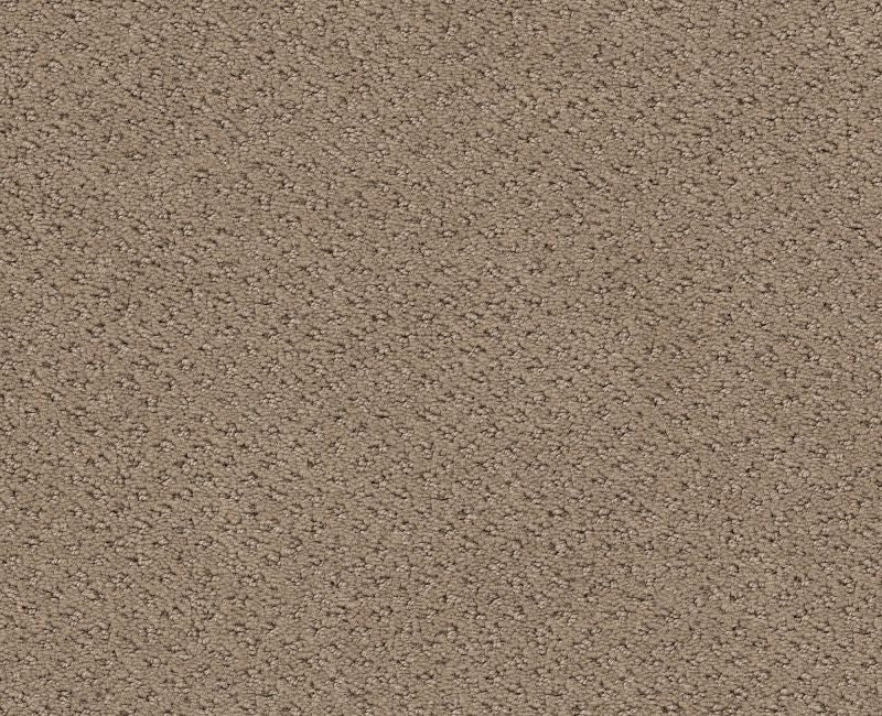 Main Squeeze Desert View 00701