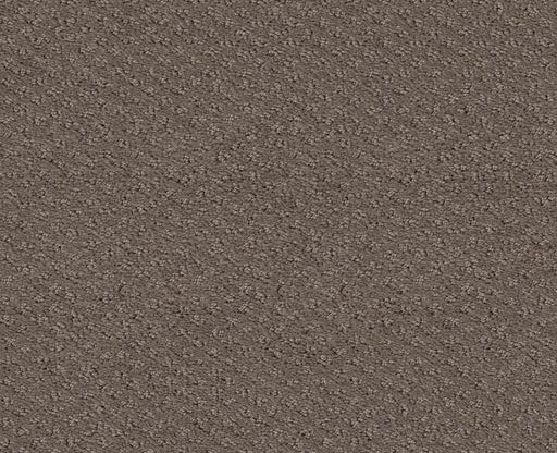 Main Squeeze Ridgeview 00751