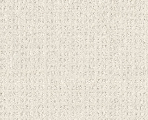 Now Or Never Serene Still 00101