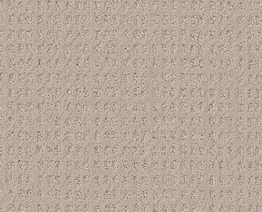 Now Or Never Butter Cream 00107