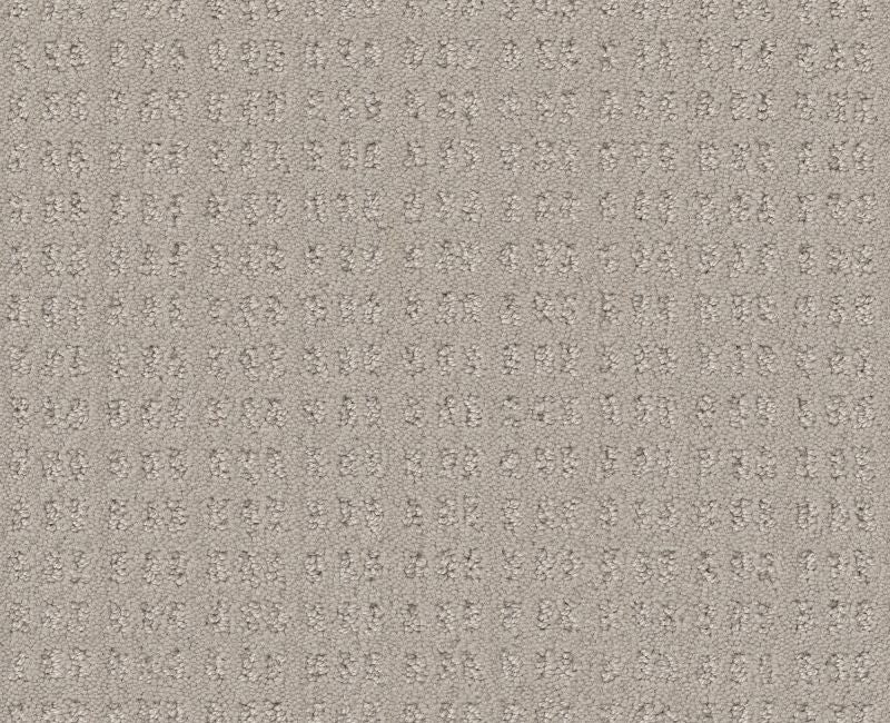 Now Or Never Fossil Path 00108