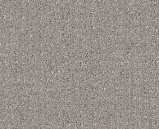 Now Or Never Newstone Haven 00502