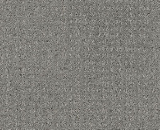 Now Or Never Grey Fox 00504