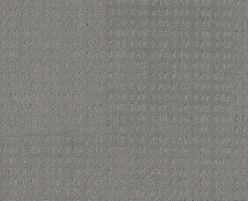 Now Or Never Grey Fox 00504