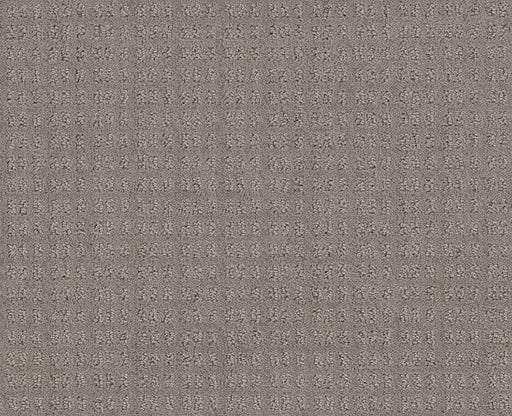 Now Or Never River Run 00700