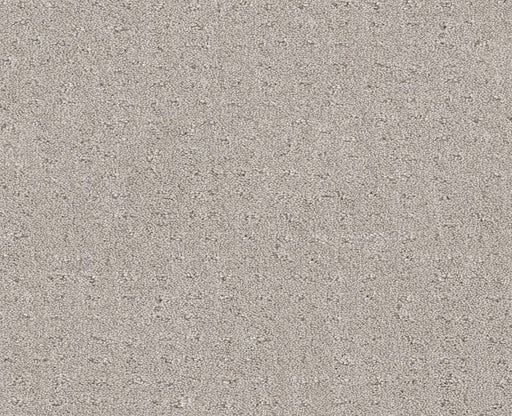 Latest Thing Winters Dawn 00102