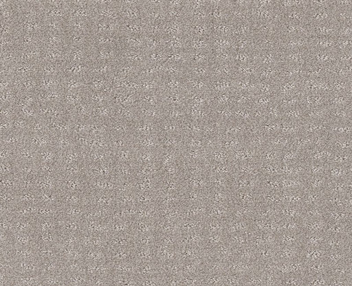 Latest Thing Split Sediment 00104