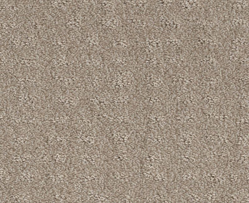 Latest Thing Fossil Path 00108