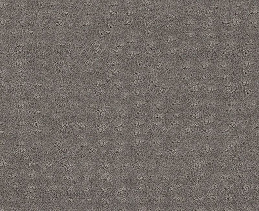 Latest Thing Grey Fox 00504