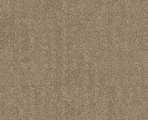 Latest Thing Desert View 00701