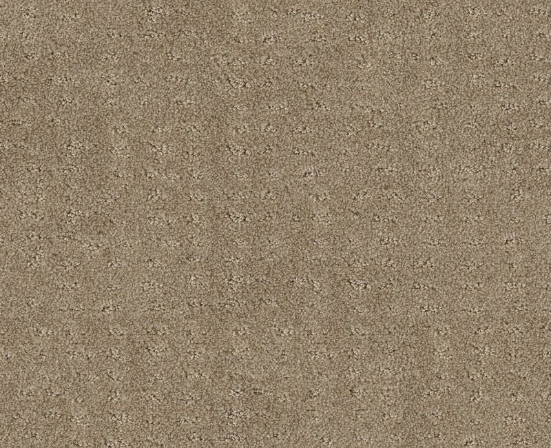 Latest Thing Desert View 00701