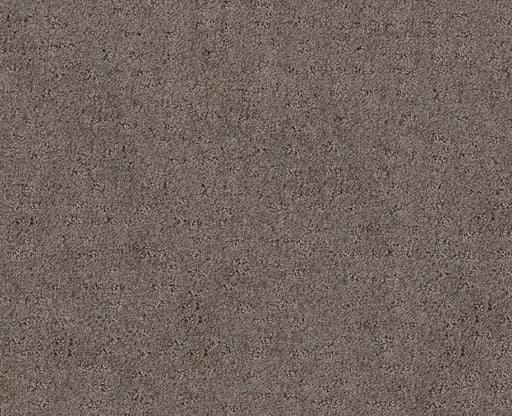 Latest Thing Ridgeview 00751