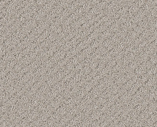 Mod Beauty Split Sediment 00104