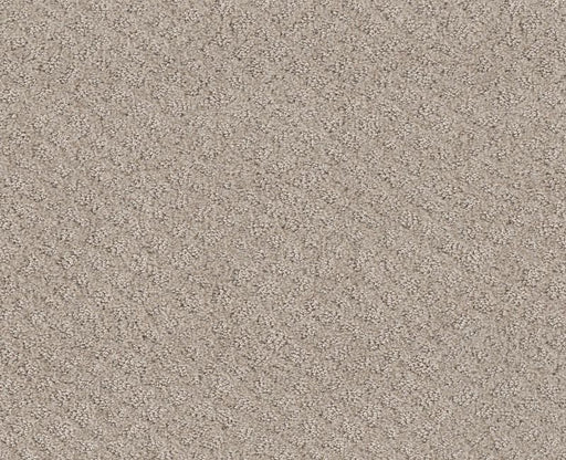 Mod Beauty Fossil Path 00108