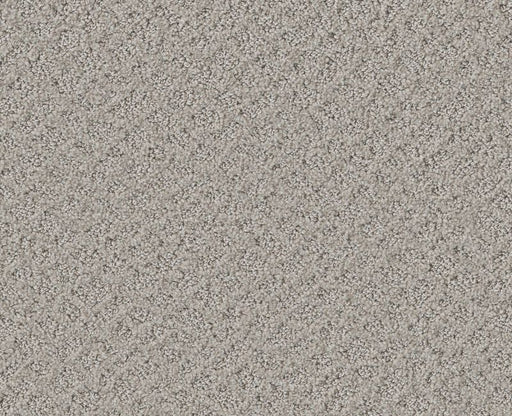 Mod Beauty Silver Lining 00500