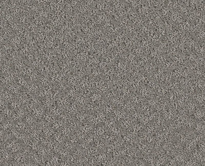 Mod Beauty Grey Fox 00504