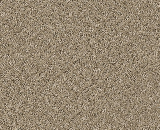 Mod Beauty Desert View 00701