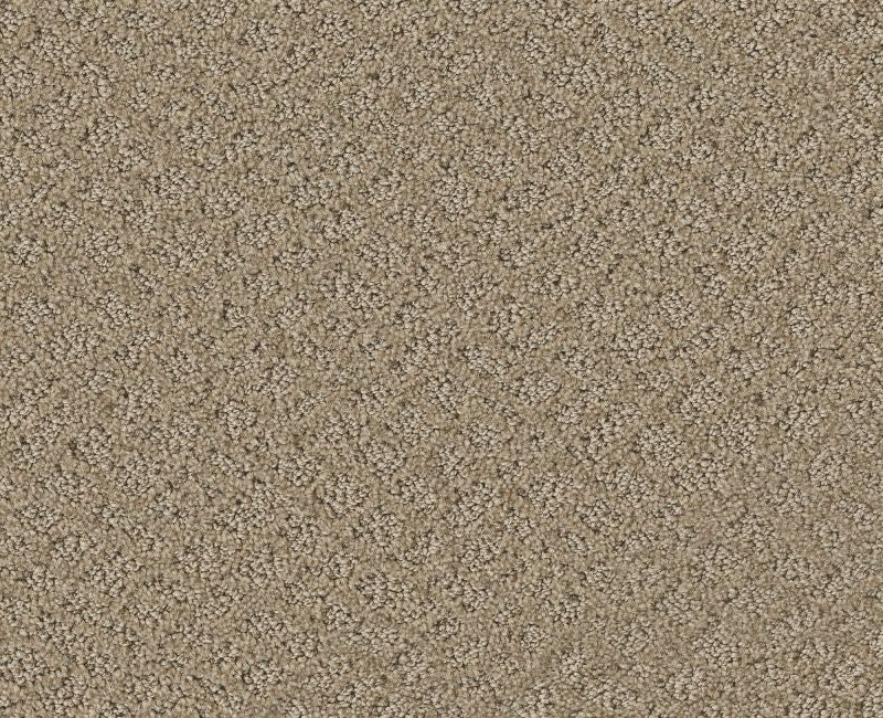 Mod Beauty Desert View 00701