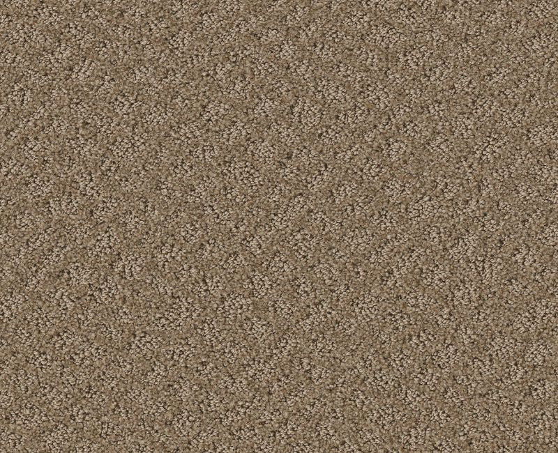 Mod Beauty Raw Wood 00720