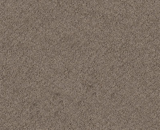 Mod Beauty Ridgeview 00751