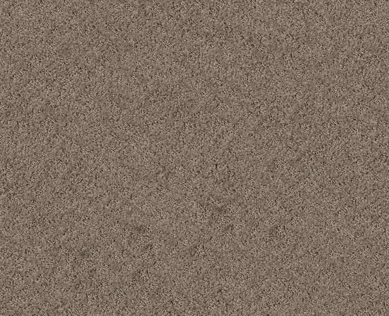 Mod Beauty Ridgeview 00751