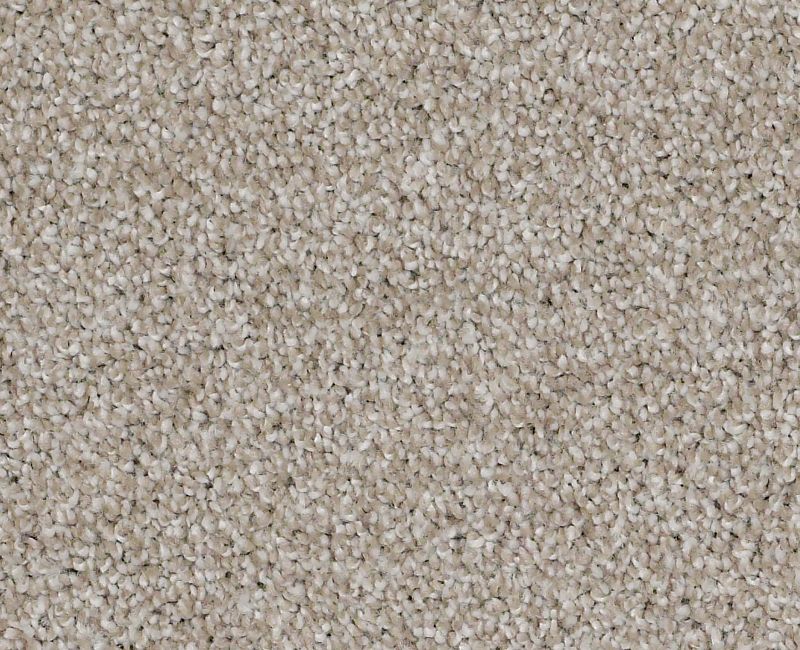 Always On Time Studio Taupe 00194