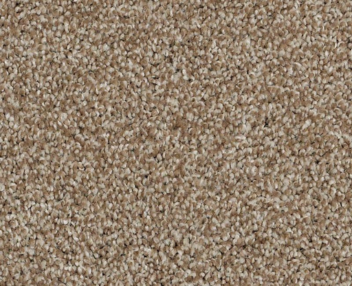 Always On Time Summerville 00790