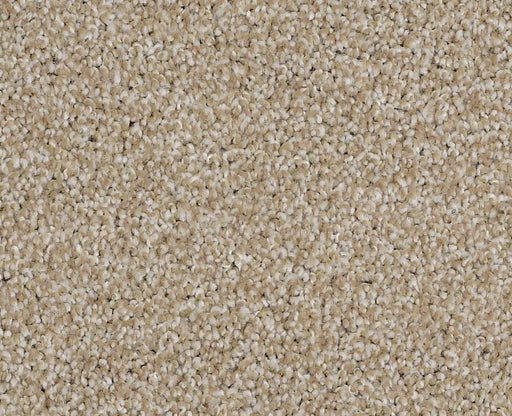 Always On Time Biscotti 00791