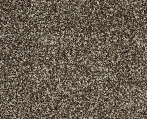 Always On Time Cobble Brown 00798