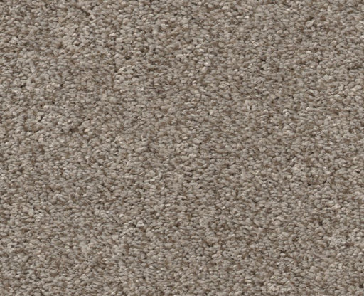 Calm Embrace I Dark Maple 00702