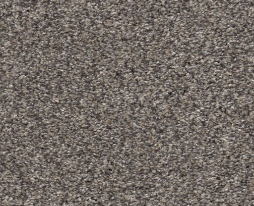 Simple Charm I Shoreline 00116