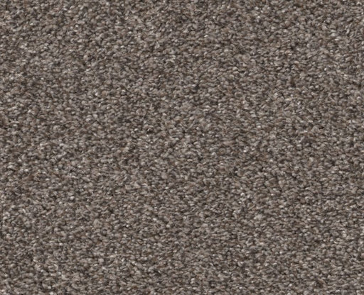 Simple Charm II Antelope 00714