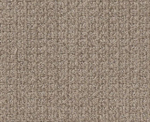 Stay Tuned French Linen 00101