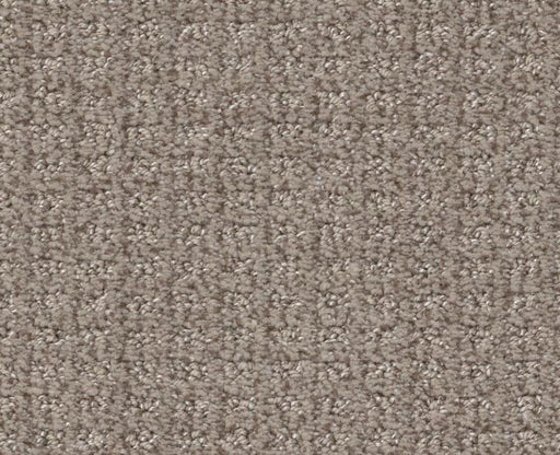 Stay Tuned Mesa 00102