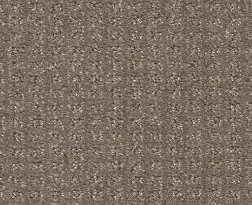 Stay Tuned Papoose 00700