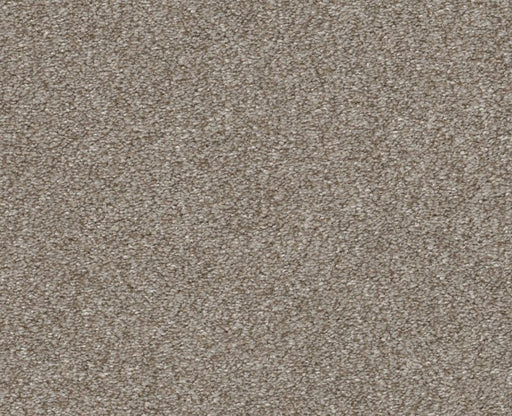 Finders Keepers Winter Dunes 0123T