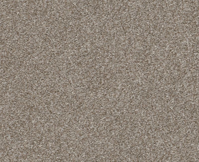 Finders Keepers Winter Dunes 0123T