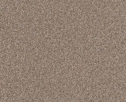 Finders Keepers Grecian Tan 0720T