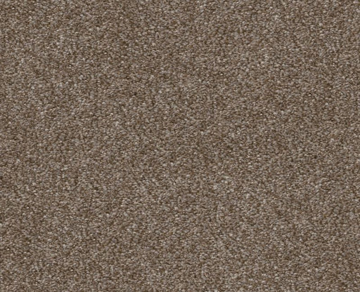 Finders Keepers Fox Hollow 0722T