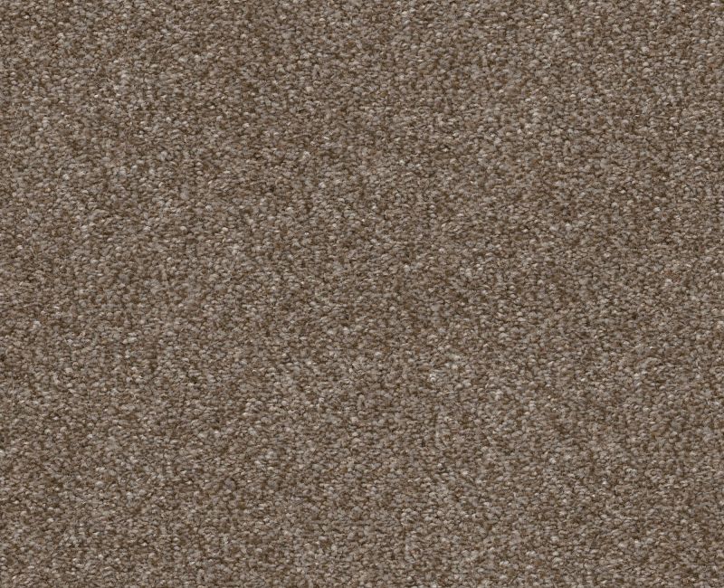 Finders Keepers Fox Hollow 0722T