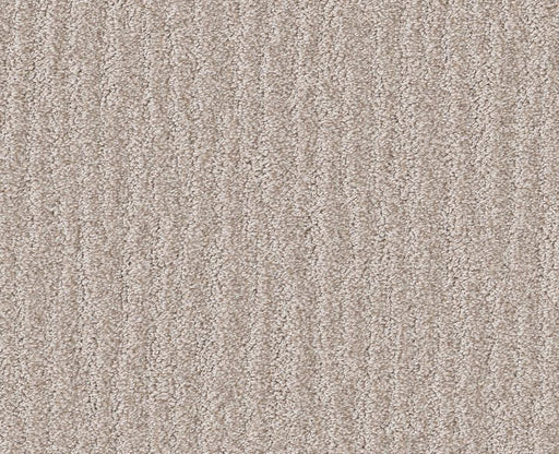 Nature Trail Shoreline 00106