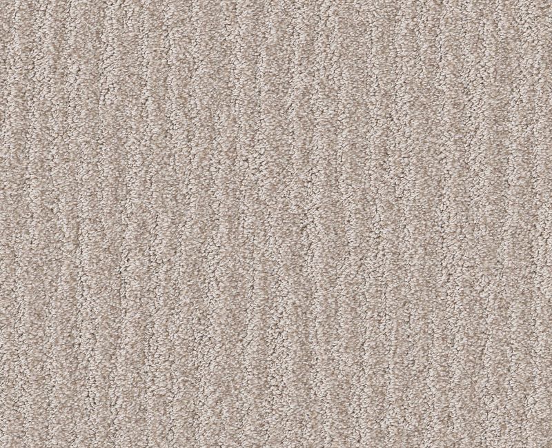 Nature Trail Shoreline 00106